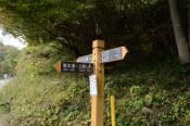 DSC_1274-20131103-512