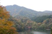 DSC_1275-20131103-512