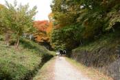 DSC_1281-20131103-512