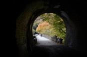 DSC_1292-20131103-512