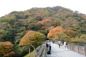 DSC_1301-20131103-512