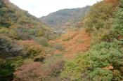 DSC_1303-20131103-512