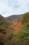 DSC_1304-20131103-512