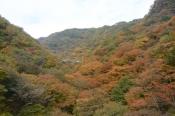 DSC_1305-20131103-512