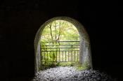 DSC_1351-20131103-512