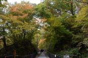 DSC_1352-20131103-512