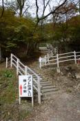 DSC_1370-20131103-512