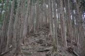 DSC_0389-20100403-512
