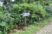 DSC_1010-20100925-512