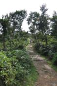 DSC_1011-20100925-512