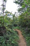 DSC_1023-20100925-512