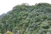 DSC_1033-20100925-512
