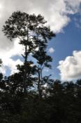 DSC_1126-20100925-512