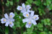 DSC_0130-20100522-512