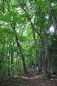 DSC_0137-20100522-512