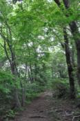 DSC_0164-20100522-512