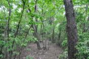 DSC_0196-20100522-512