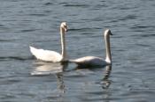 DSC_0780-20100912-512
