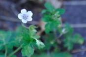 DSC_0786-20100912-512