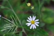 DSC_0790-20100912-512