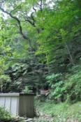 DSC_0877-20100912-512
