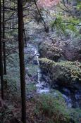 DSC_2920-20111113-512