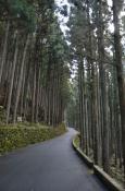 DSC_2925-20111113-512