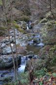 DSC_2941-20111113-512