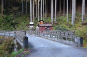 DSC_2944-20111113-512