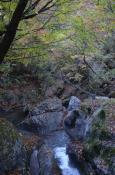 DSC_2955-20111113-512