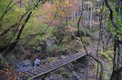 DSC_2956-20111113-512