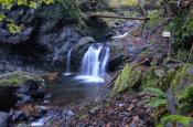 DSC_2963-20111113-512