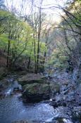 DSC_2968-20111113-512
