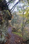 DSC_2975-20111113-512