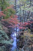 DSC_2980-20111113-512