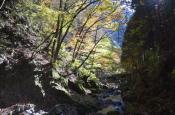 DSC_2990-20111113-512