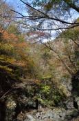 DSC_2999-20111113-512