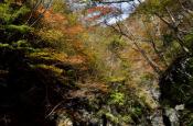 DSC_3000-20111113-512