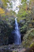 DSC_3013-20111113-512
