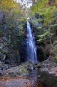 DSC_3015-20111113-512