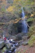 DSC_3023-20111113-512
