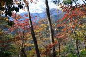 DSC_3029-20111113-512