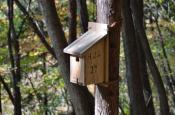 DSC_3032-20111113-512