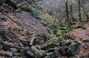 DSC_3048-20111113-512