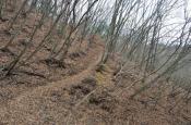 DSC_3074-20111113-512
