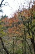 DSC_3084-20111113-512