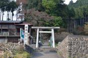DSC_3105-20111113-512