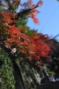 DSC_0930-20101211-512
