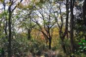 DSC_0950-20101211-512