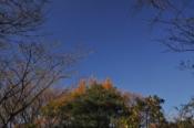 DSC_0954-20101211-512